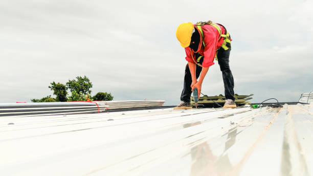 Best Solar Panel Roofing Installation  in Bartow, FL