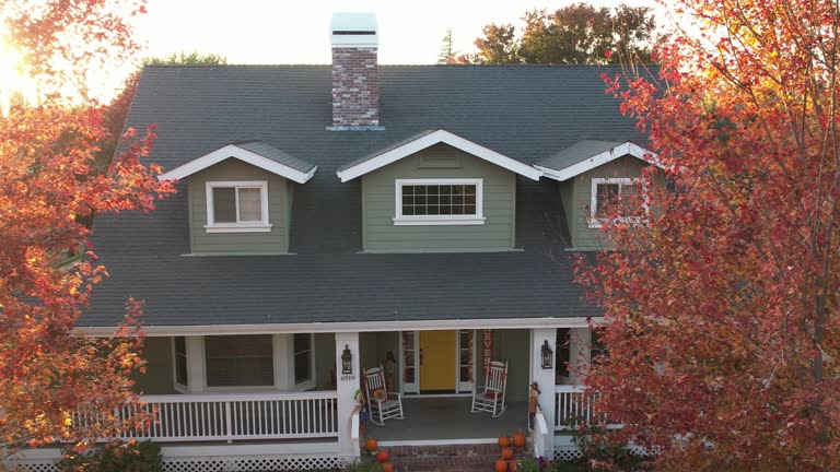 Best Chimney Flashing Repair  in Bartow, FL